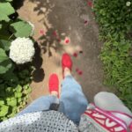 Top-down view of a person walking along a garden path wearing red sneakers and light blue jeans, with white hydrangeas on the left and pink petals scattered on the ground.