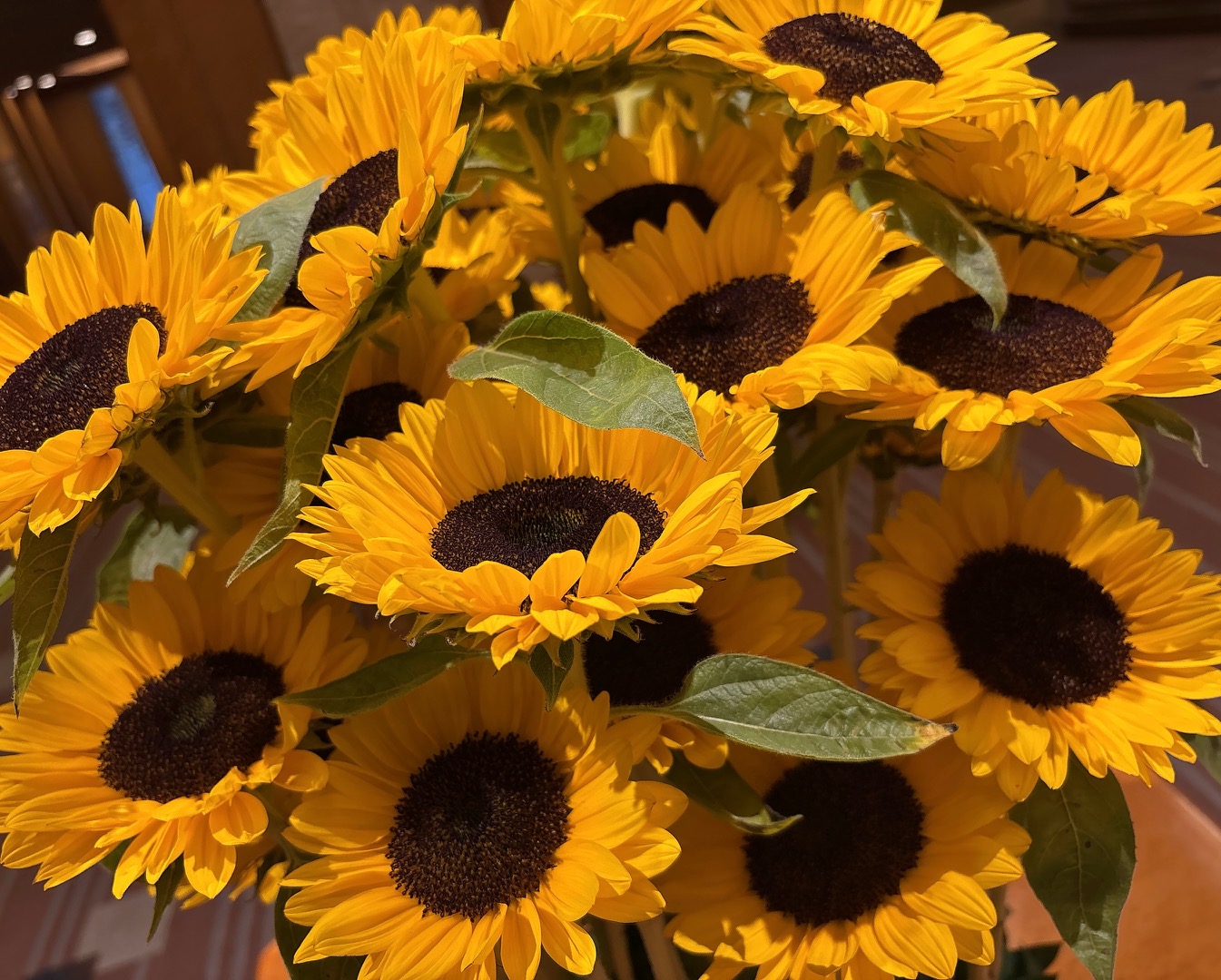 Bouquet of yellow sunflowers with dark brown centers and green leaves.